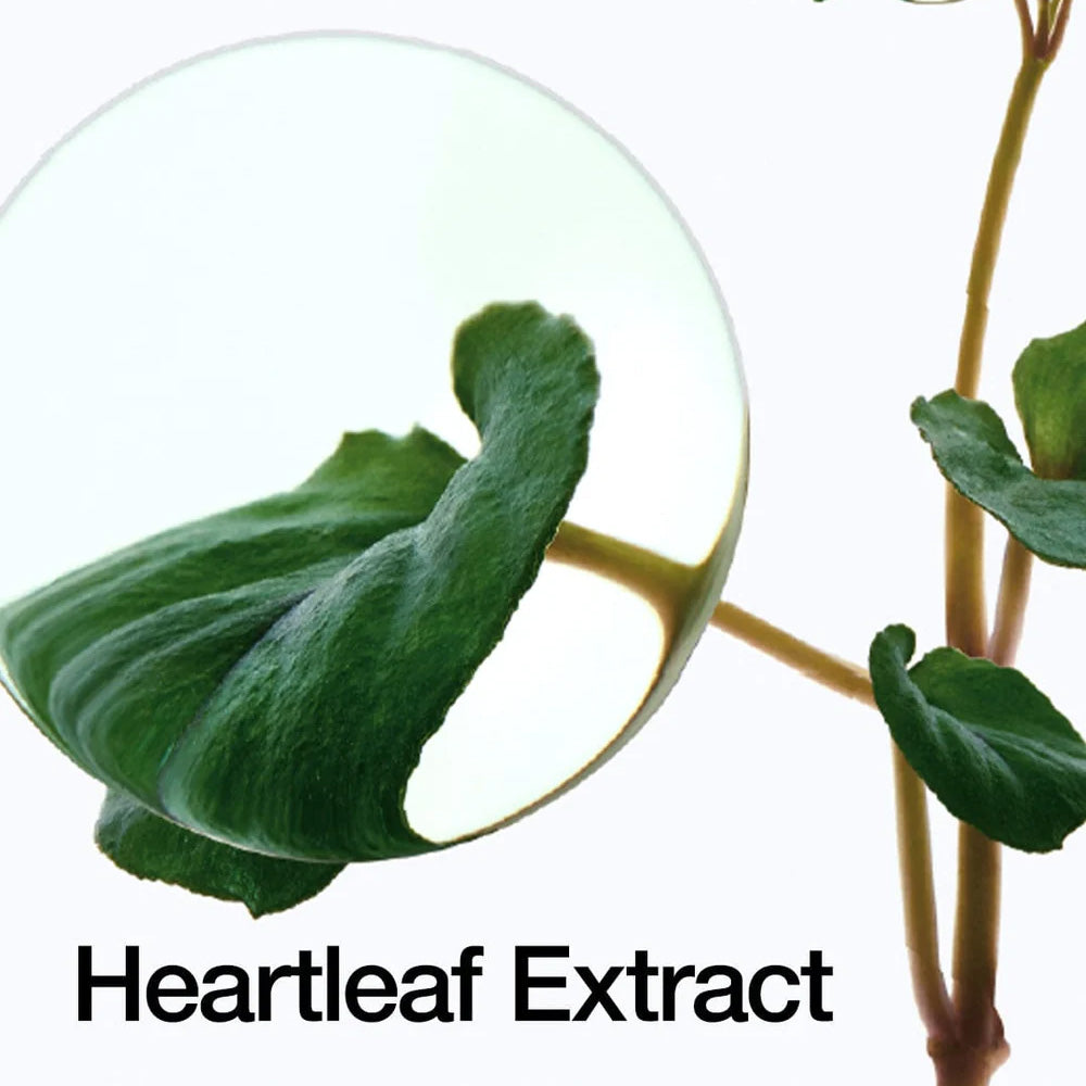 Image of Heartleaf Pore Control Cleansing Oil
